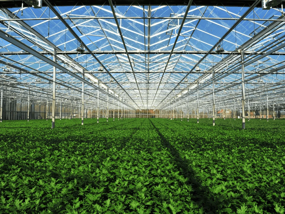 Irrigation system
