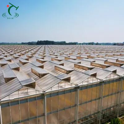 Поликарбонатни стакленику